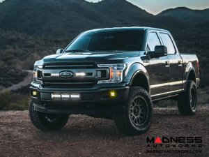 Ford F-150 Super Duty Fog Light Mount w/o 2D-Series Lights